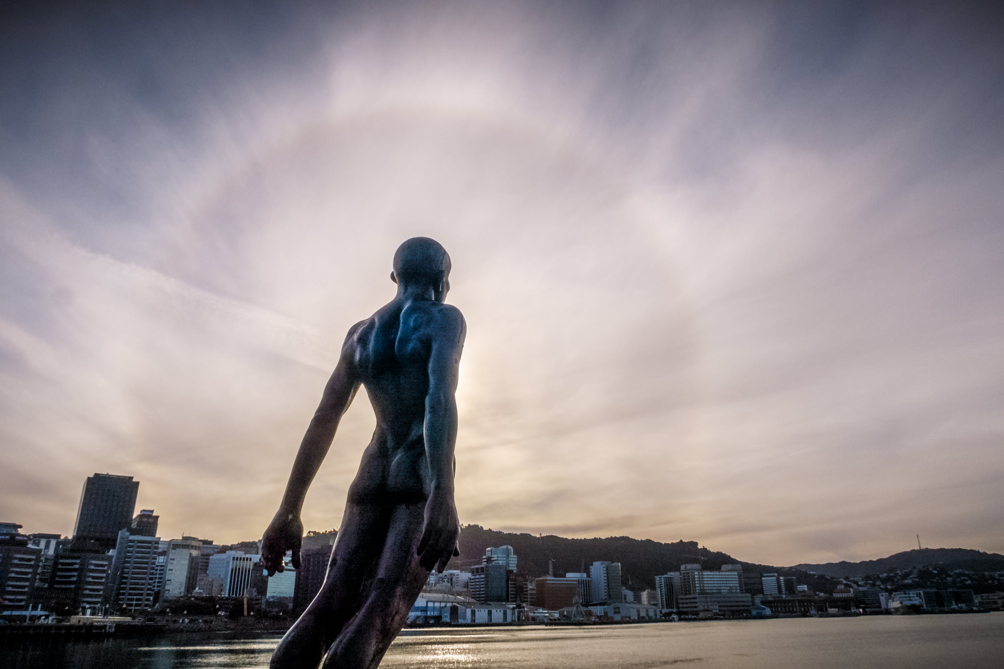 Wellington Sun Halo