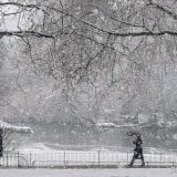 St James Park London Snow  - Dave Simpson Photography