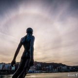 Wellington Sun Halo - Dave Simpson Photography